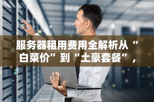 服务器租用费用全解析从“白菜价”到“土豪套餐”，你花的每一分钱都值吗？