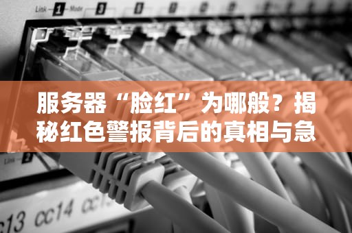 服务器“脸红”为哪般？揭秘红色警报背后的真相与急救方案！