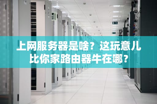 上网服务器是啥？这玩意儿比你家路由器牛在哪？