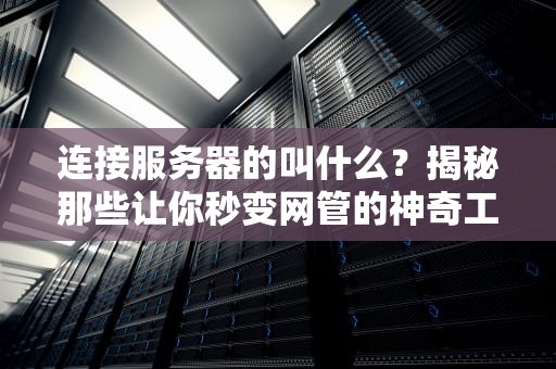连接服务器的叫什么？揭秘那些让你秒变网管的神奇工具！