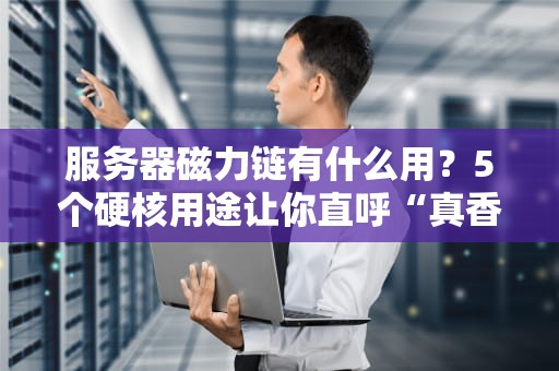服务器磁力链有什么用？5个硬核用途让你直呼“真香”！
