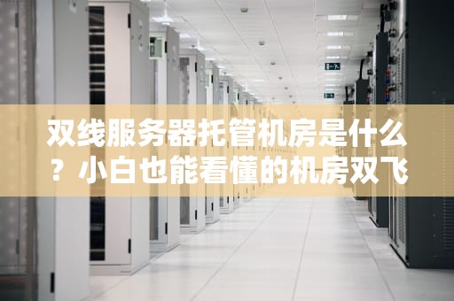 双线服务器托管机房是什么？小白也能看懂的机房双飞指南