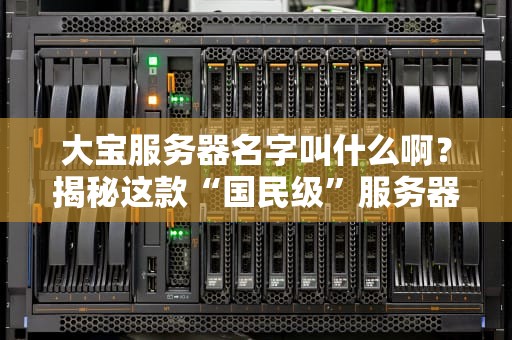 大宝服务器名字叫什么啊？揭秘这款“国民级”服务器的前世今生！