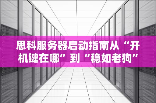 思科服务器启动指南从“开机键在哪”到“稳如老狗”的硬核教程
