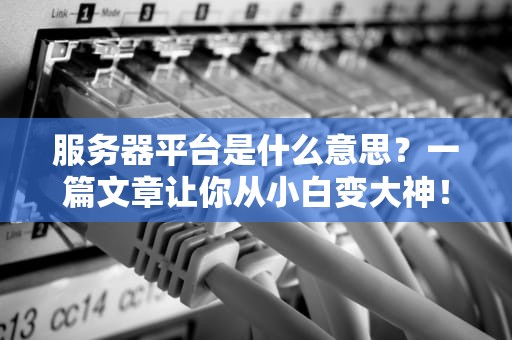 服务器平台是什么意思？一篇文章让你从小白变大神！