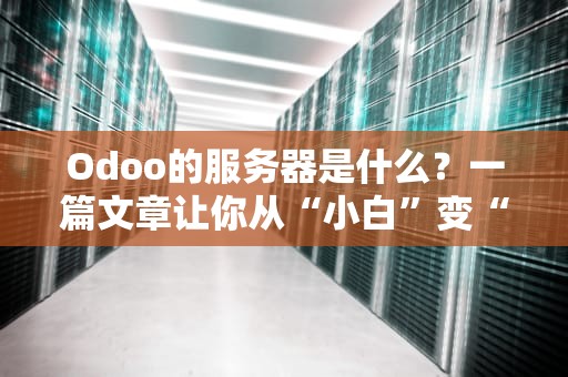 Odoo的服务器是什么？一篇文章让你从“小白”变“大神”！