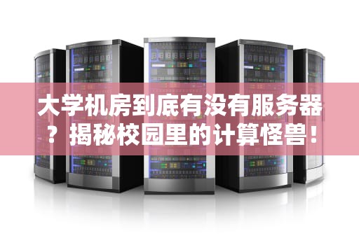 大学机房到底有没有服务器？揭秘校园里的计算怪兽！