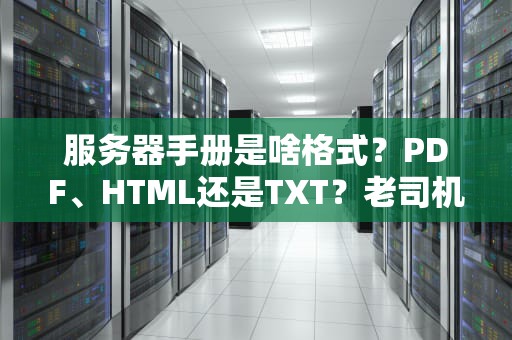 服务器手册是啥格式？PDF、HTML还是TXT？老司机带你避坑选对说明书！