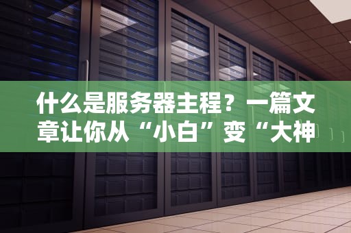 什么是服务器主程？一篇文章让你从“小白”变“大神”（附专业测评对比）