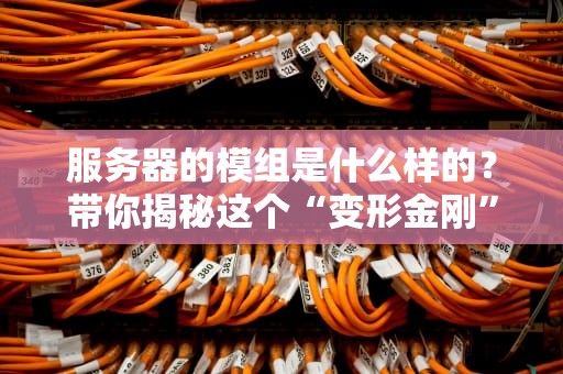 服务器的模组是什么样的？带你揭秘这个“变形金刚”的百变形态！