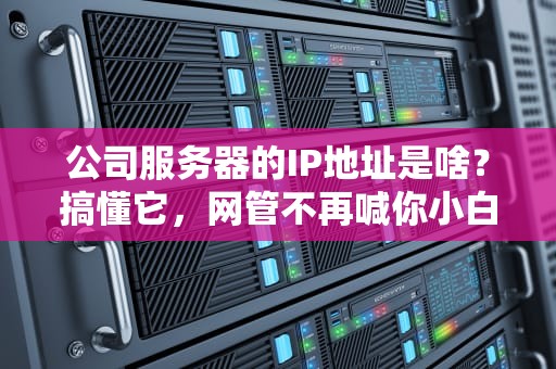 公司服务器的IP地址是啥？搞懂它，网管不再喊你小白！