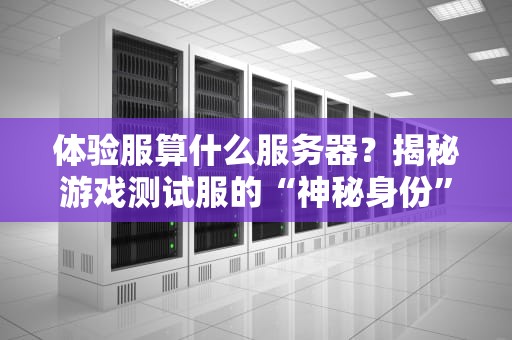 体验服算什么服务器？揭秘游戏测试服的“神秘身份”与硬核真相！