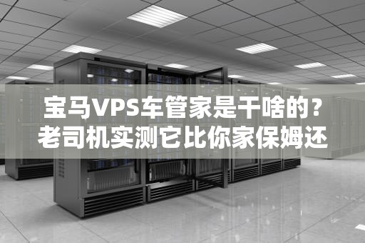 宝马VPS车管家是干啥的？老司机实测它比你家保姆还操心！