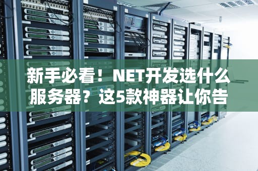 新手必看！NET开发选什么服务器？这5款神器让你告别选择困难症