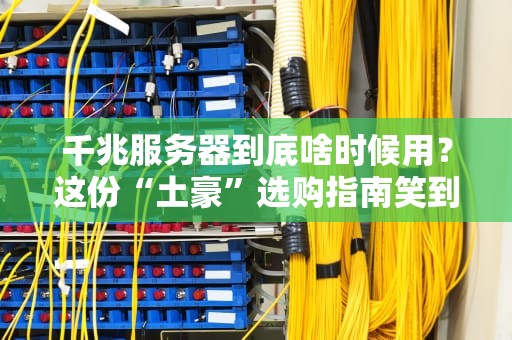 千兆服务器到底啥时候用？这份“土豪”选购指南笑到劈叉！