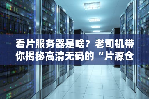 看片服务器是啥？老司机带你揭秘高清无码的“片源仓库”！