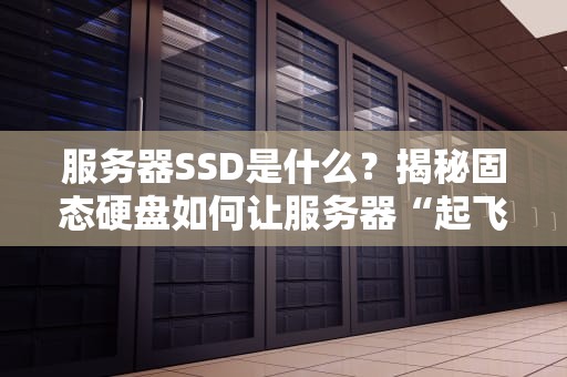 服务器SSD是什么？揭秘固态硬盘如何让服务器“起飞”的硬核原理！