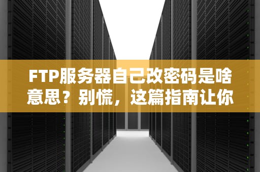FTP服务器自己改密码是啥意思？别慌，这篇指南让你秒变“改密达人”！