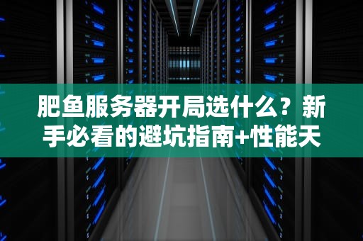 肥鱼服务器开局选什么？新手必看的避坑指南+性能天花板推荐！