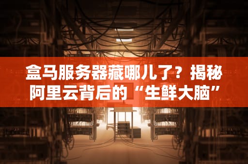 盒马服务器藏哪儿了？揭秘阿里云背后的“生鲜大脑”