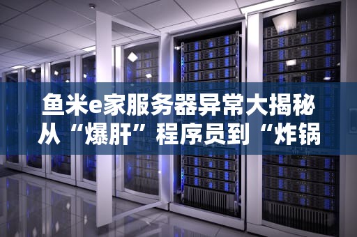 鱼米e家服务器异常大揭秘从“爆肝”程序员到“炸锅”硬件的那些事儿
