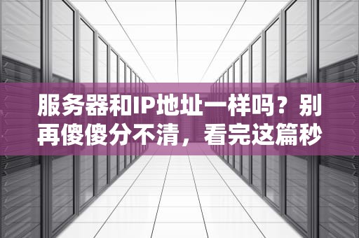 服务器和IP地址一样吗？别再傻傻分不清，看完这篇秒懂！