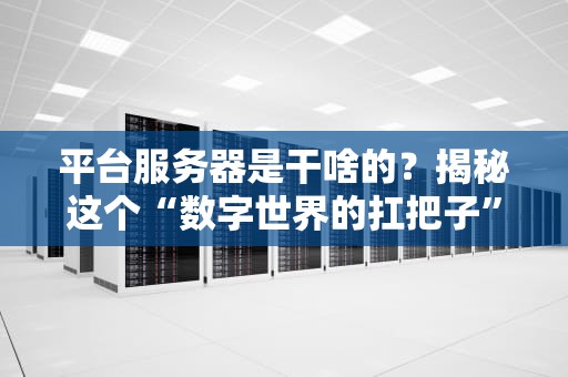平台服务器是干啥的？揭秘这个“数字世界的扛把子”有多硬核！