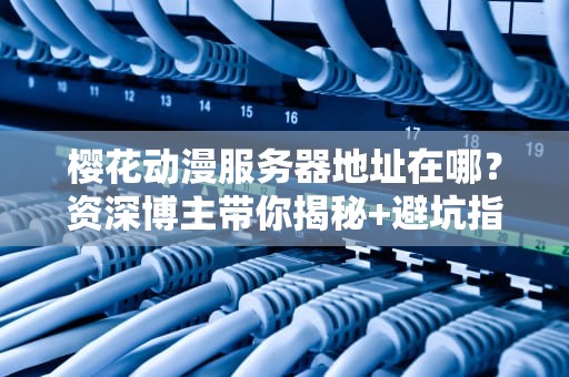 樱花动漫服务器地址在哪？资深博主带你揭秘+避坑指南！