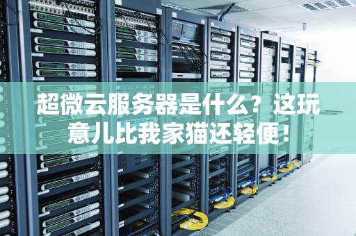 超微云服务器是什么？这玩意儿比我家猫还轻便！