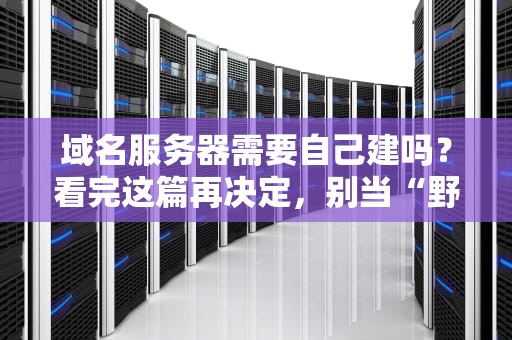 域名服务器需要自己建吗？看完这篇再决定，别当“野生运维工程师”！