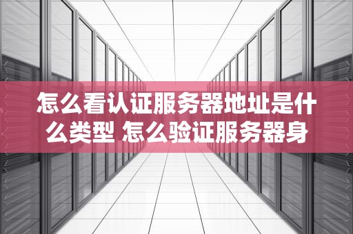 怎么看认证服务器地址是什么类型 怎么验证服务器身份