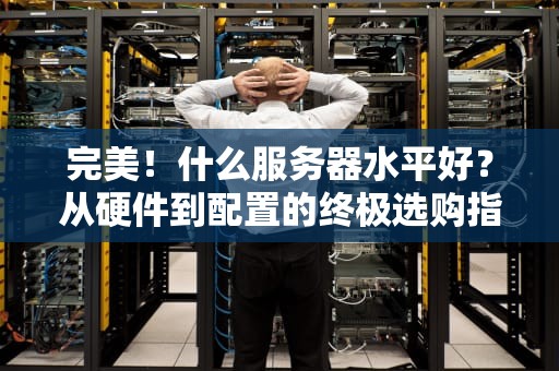 完美！什么服务器水平好？从硬件到配置的终极选购指南