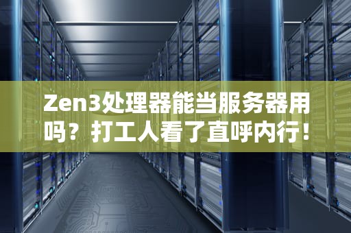 Zen3处理器能当服务器用吗？打工人看了直呼内行！