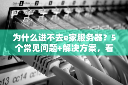为什么进不去e家服务器？5个常见问题+解决方案，看完秒变老司机！