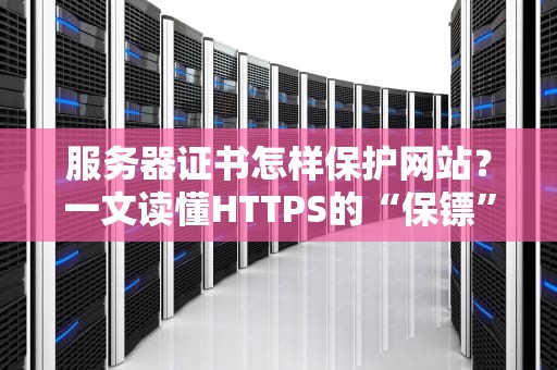 服务器证书怎样保护网站？一文读懂HTTPS的“保镖”有多强！