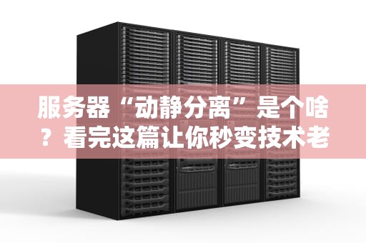 服务器“动静分离”是个啥？看完这篇让你秒变技术老司机！