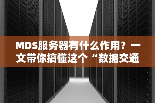 MDS服务器有什么作用？一文带你搞懂这个“数据交通指挥官”