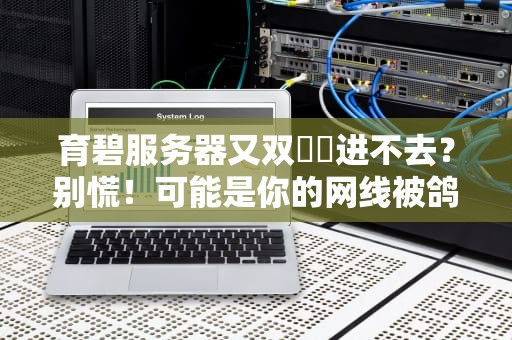 育碧服务器又双叒叕进不去？别慌！可能是你的网线被鸽子叼走了（附专业解决方案）