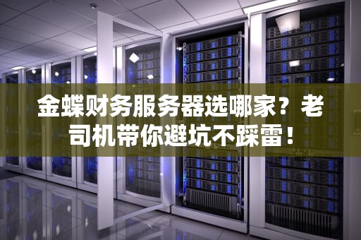 金蝶财务服务器选哪家？老司机带你避坑不踩雷！
