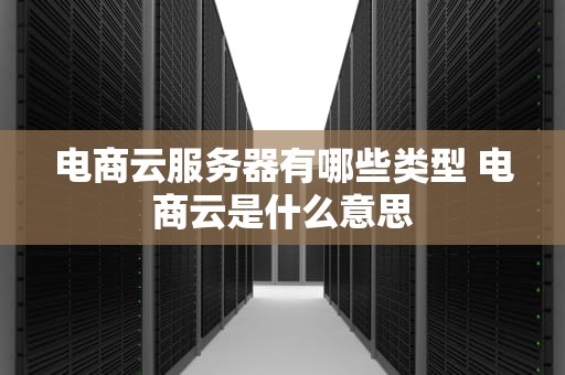 电商云服务器有哪些类型 电商云是什么意思