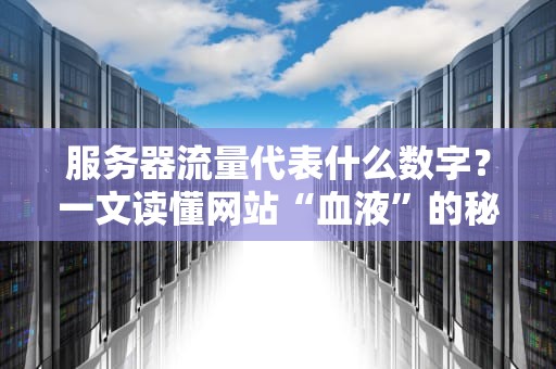 服务器流量代表什么数字？一文读懂网站“血液”的秘密！