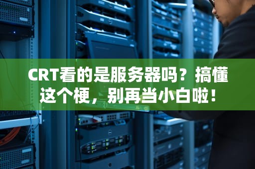 CRT看的是服务器吗？搞懂这个梗，别再当小白啦！