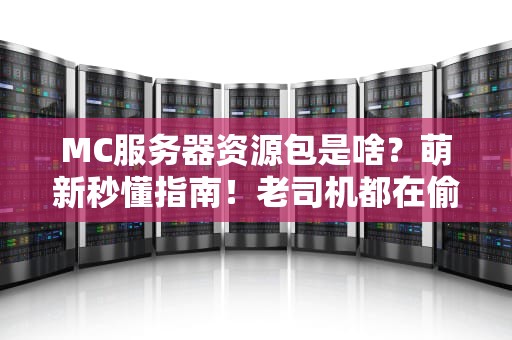 MC服务器资源包是啥？萌新秒懂指南！老司机都在偷偷用！