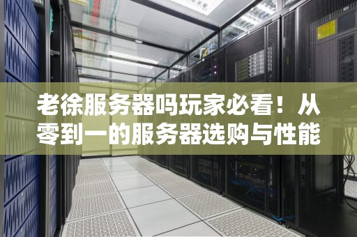 老徐服务器吗玩家必看！从零到一的服务器选购与性能优化指南
