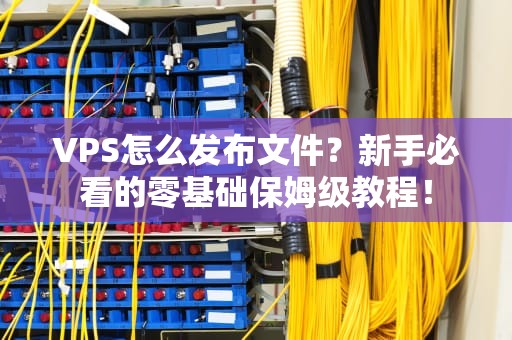 VPS怎么发布文件？新手必看的零基础保姆级教程！