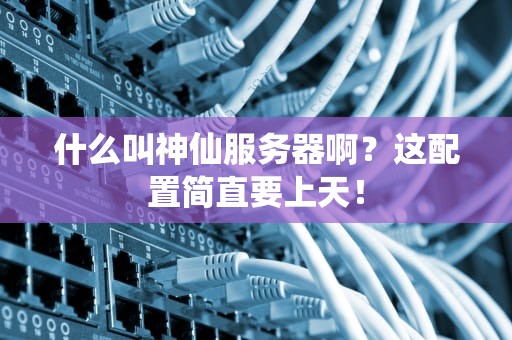 什么叫神仙服务器啊？这配置简直要上天！