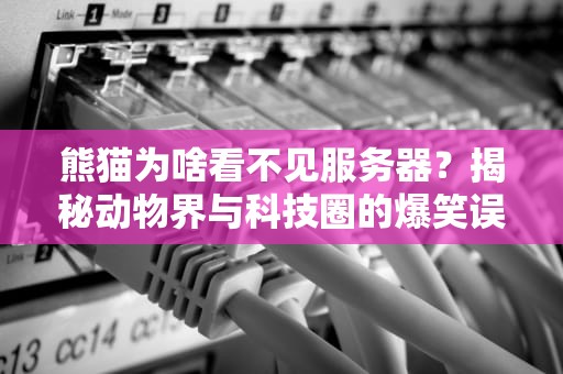 熊猫为啥看不见服务器？揭秘动物界与科技圈的爆笑误会！