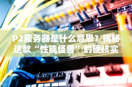 P2服务器是什么意思？揭秘这款“性能怪兽”的硬核实力！