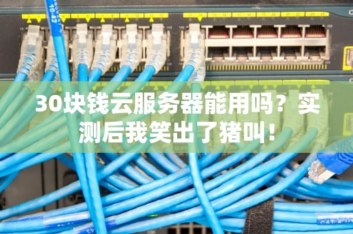 30块钱云服务器能用吗？实测后我笑出了猪叫！