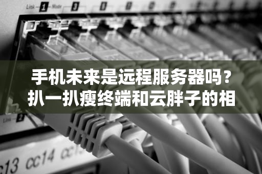 手机未来是远程服务器吗？扒一扒瘦终端和云胖子的相爱相杀
